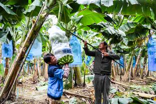 意媒谈卢卡库食谱：鱼、沙拉、水果为基础，加少量意面、大量鸡肉